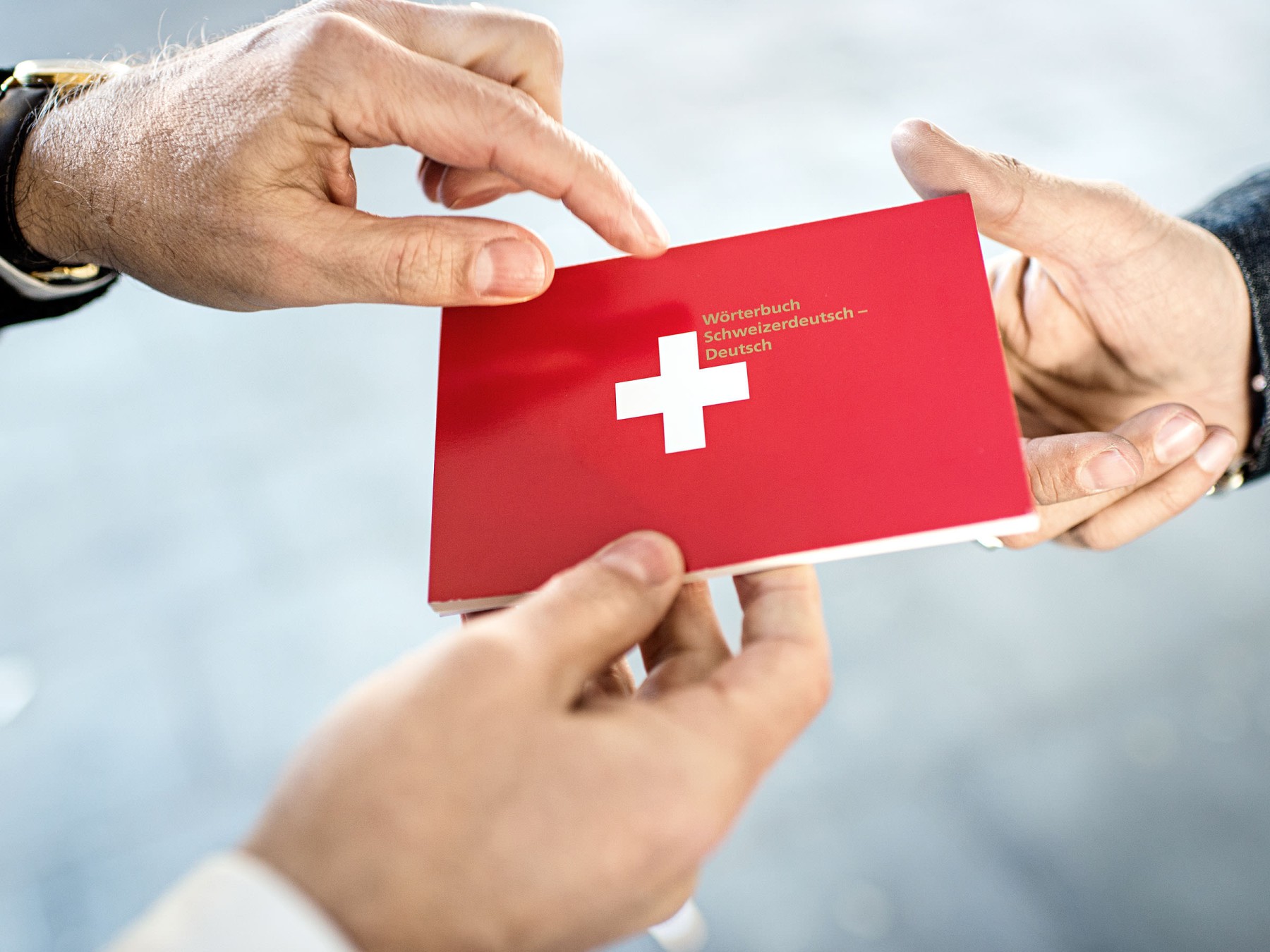 Bernhard Schweizer, Organsiationsentwickler aus Thun/Schweiz