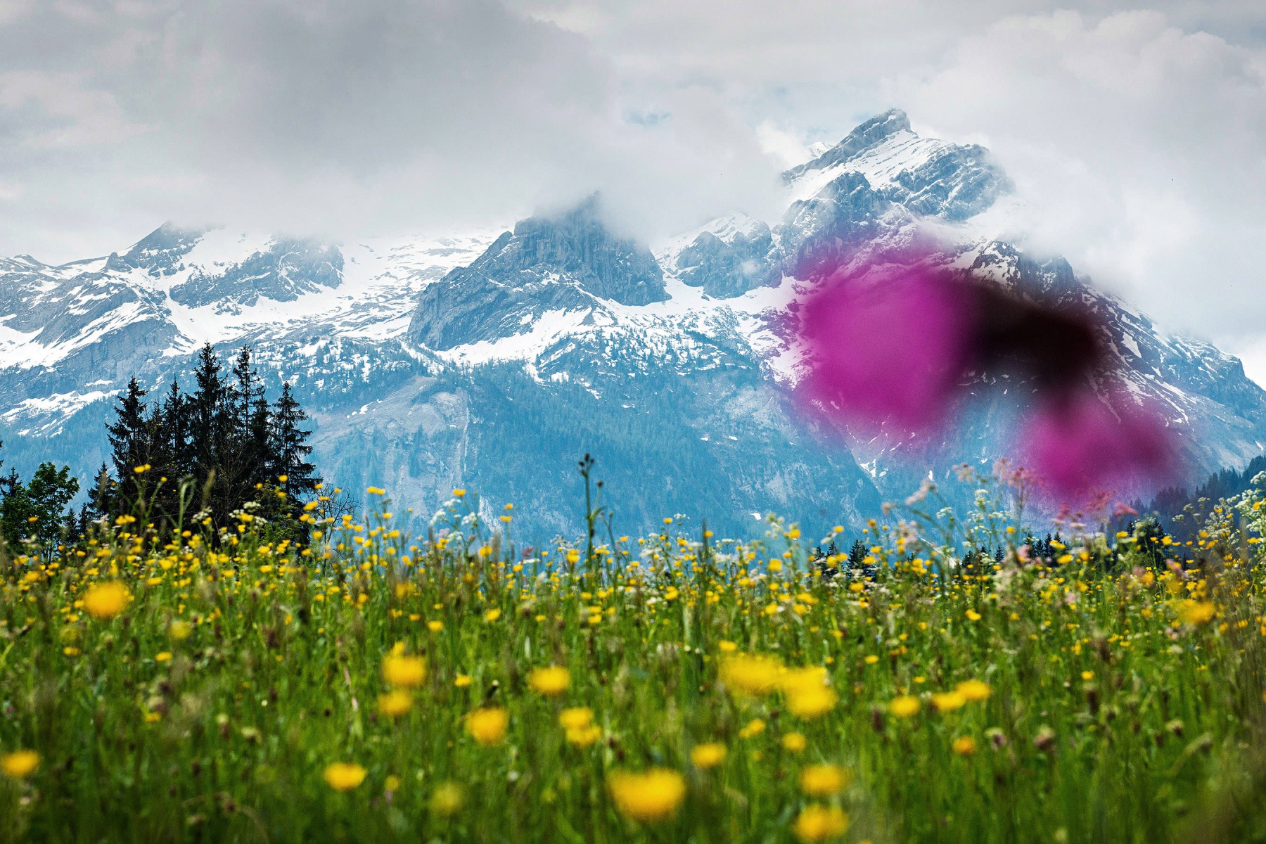 Alps panoramic