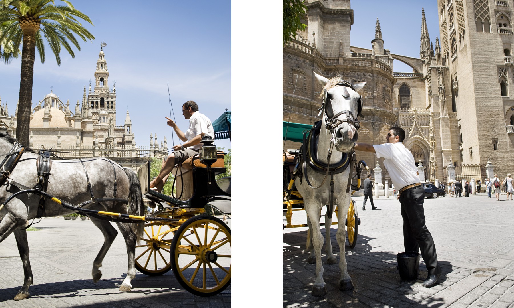 sevilla-web-004